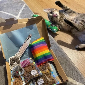 A tabby cat rolling on its back while playing with the catnip toys from the cat gift box