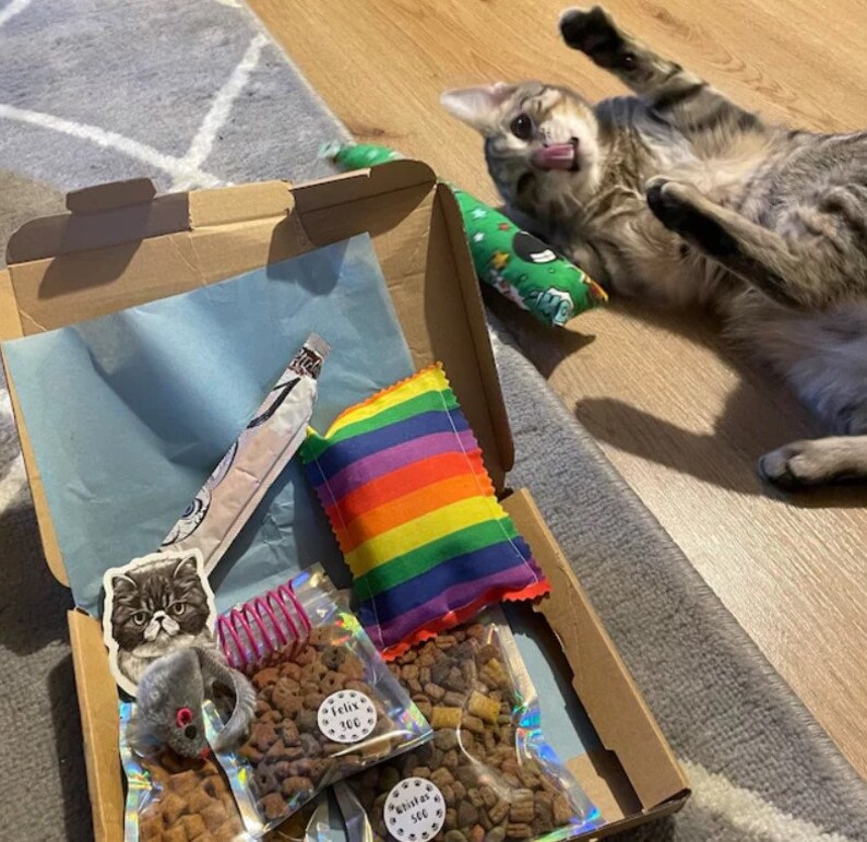 A tabby cat rolling on its back while playing with the catnip toys from the cat gift box