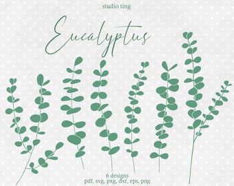 Hand Drawn Eucalyptus Illustration Clipart, Green Botanical Vector Svg, Minimalist Greenery Invitation Clipart, Pdf, Eps, Dxf, Pxg, Png