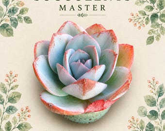 Echeveria 'Blue Swan' Succulent Plant | Blue-Grey Rosette, Red Edges (Bare Root)