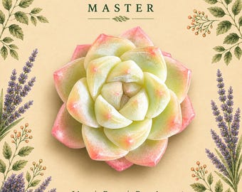 Rare Echeveria 'Ice Green' Live Succulent Plant | Pale Green Pink Rosette (Bare Root)