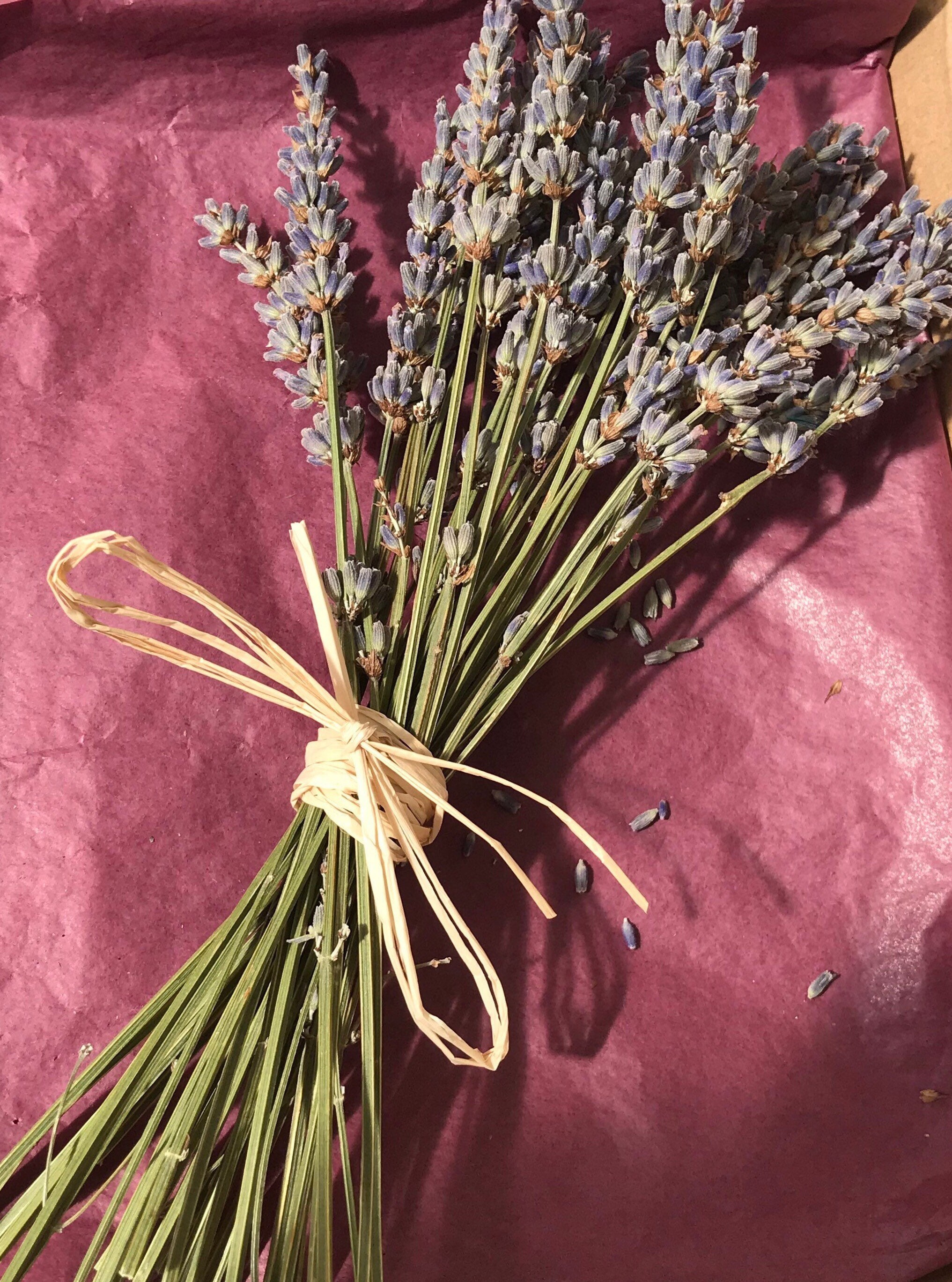 Dried Lavender bunch Fragrant Lavender tied with Raffia Etsy