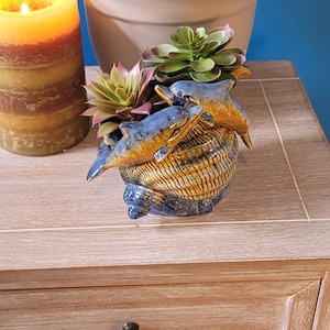 May include: A ceramic planter shaped like a seashell, featuring two blue and gold dolphins. The planter holds two succulent plants with green and pink leaves. The seashell has a textured, striped design.