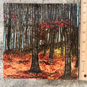 Pintura original de abedul de otoño, enmarcada en una caja de sombras negra de 9x9