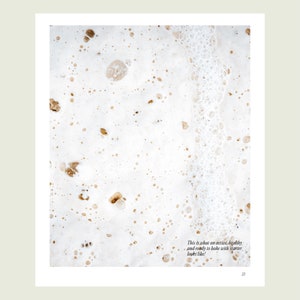 Peut inclure: Gros plan sur une surface blanche avec de petites taches brunes et une ligne verticale de bulles. Le texte "This is what an active, healthy and ready to bake with starter looks like!" est en bas de l'image.