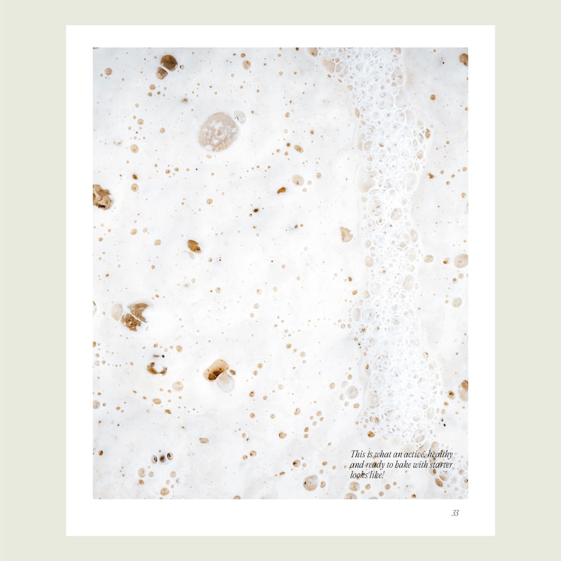 Peut inclure: Gros plan sur une surface blanche avec de petites taches brunes et une ligne verticale de bulles. Le texte "This is what an active, healthy and ready to bake with starter looks like!" est en bas de l'image.