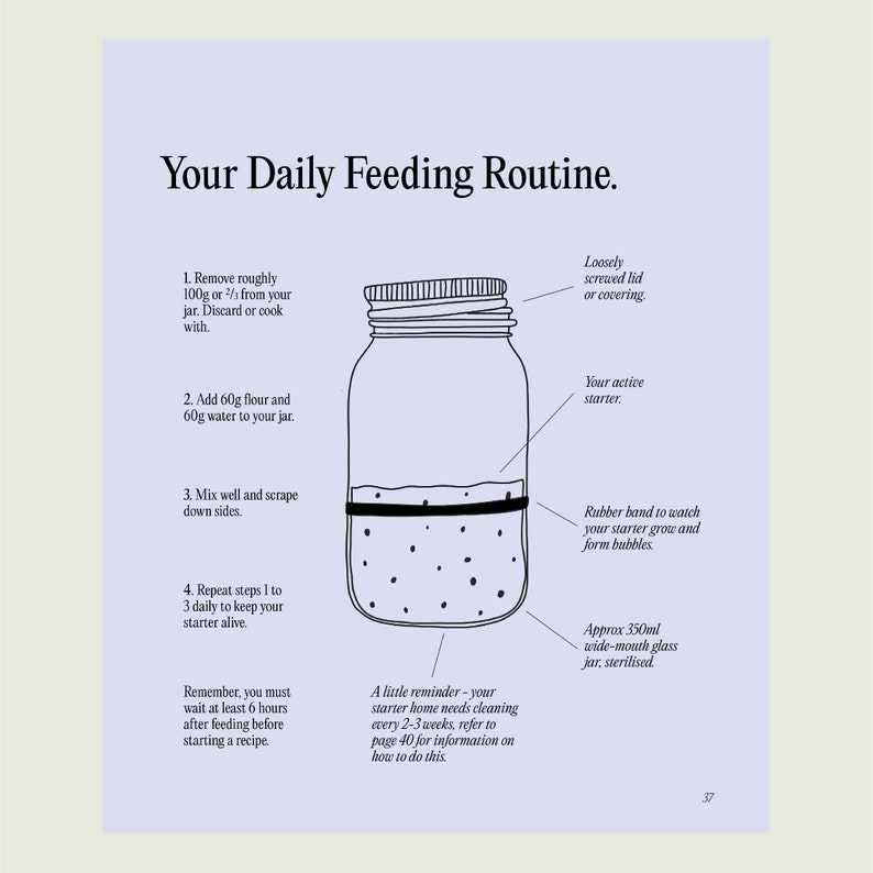 Peut inclure: Une illustration en noir et blanc d'un bocal en verre avec un &eacute;lastique autour. Le bocal est &eacute;tiquet&eacute; "Votre levain actif" et porte une l&eacute;gende qui dit "Votre routine d'alimentation quotidienne". L'illustration montre les &eacute;tapes pour nourrir un levain de pain au levain.