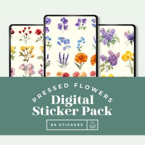 80 枚の押し花デジタル ステッカー、Goodnotes フローラル ステッカー、花 PNG、Goodnote プランナー コレクション、Notability iPad セット、Png ステッカー
