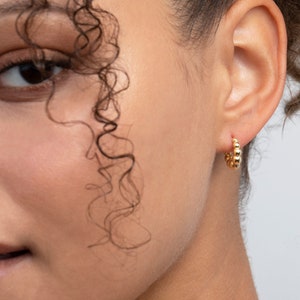 Fitted hoop earrings online