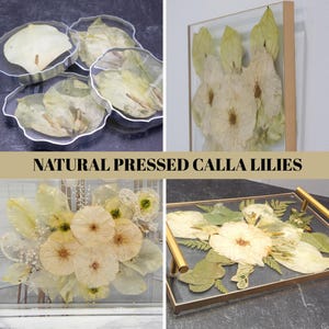 Resin Flower Preservation Epoxy Wedding Flower Coaster Pressed Flower Gift for Bride with Preserved Bouquet Dried Flower Art New Home Decor Bild 18