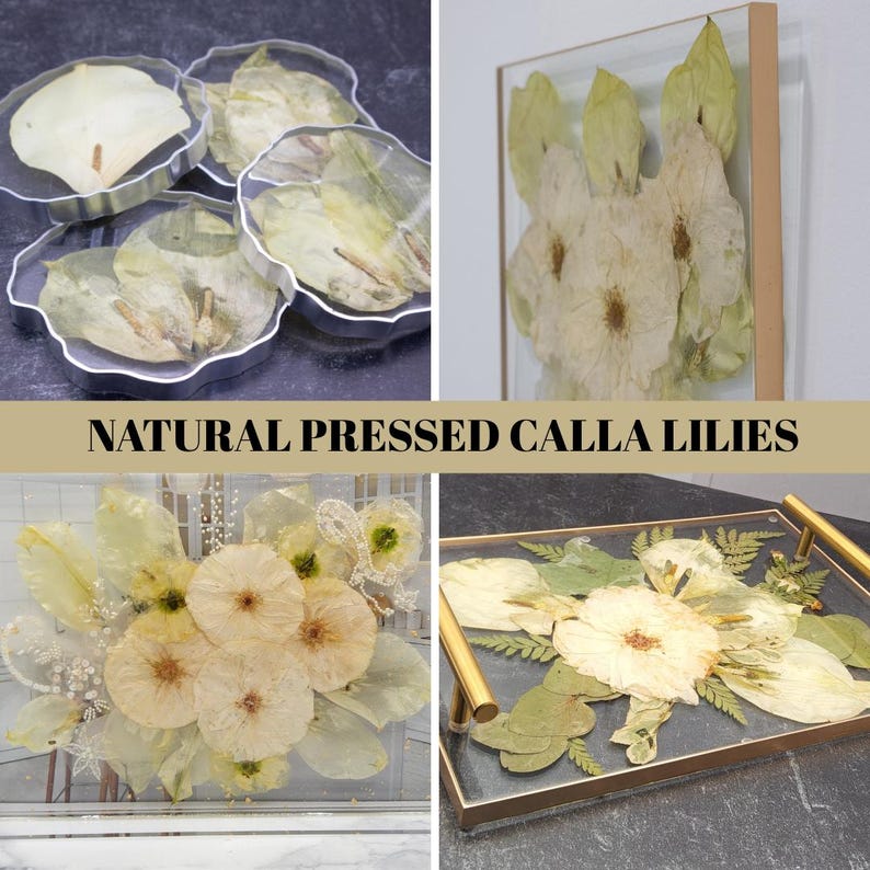 Resin Flower Preservation Epoxy Wedding Flower Coaster Pressed Flower Gift for Bride with Preserved Bouquet Dried Flower Art New Home Decor Bild 18