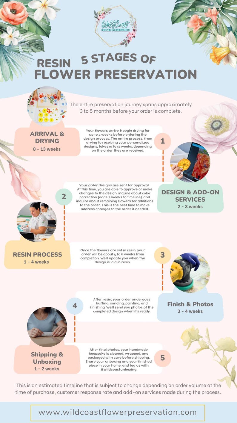 Pu&ograve; includere: Infografica che illustra le 5 fasi della conservazione dei fiori in resina. Le fasi includono arrivo e asciugatura, progettazione e servizi aggiuntivi, processo di resina, finitura e foto e spedizione e unboxing. Il processo dura 3-5 mesi. www.wildcoastflowerpreservation.com.
