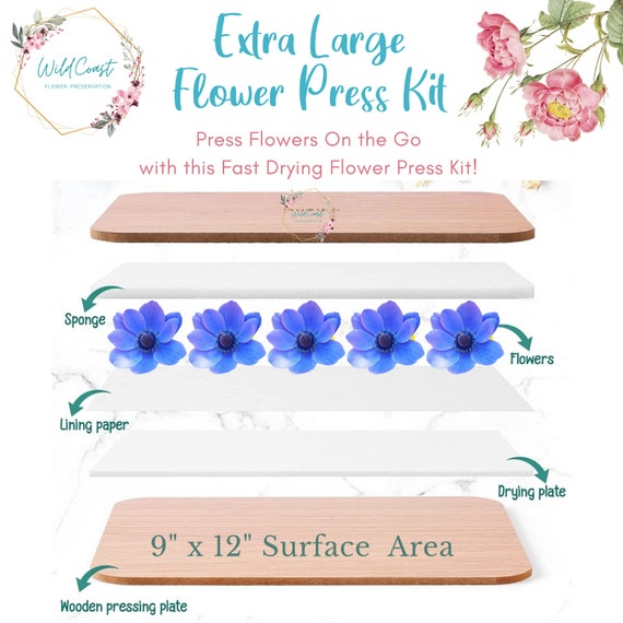Extra Large Flower Press XL Professional Flower Press Kit express