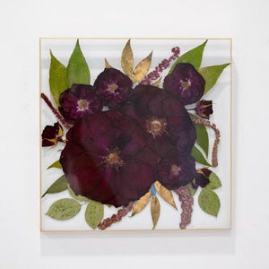 Red Rose Preserved Flower Wall Art Floating Frame Real Flower
