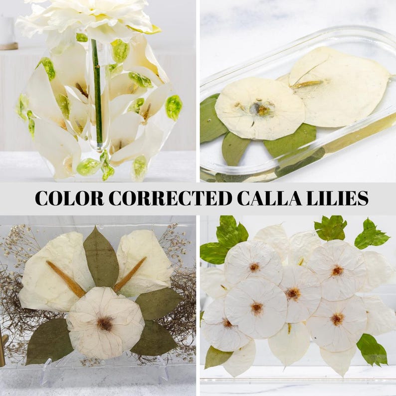 Resin Flower Preservation Epoxy Wedding Flower Coaster Pressed Flower Gift for Bride with Preserved Bouquet Dried Flower Art New Home Decor Bild 16