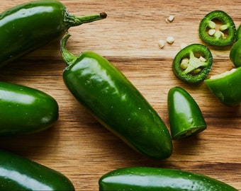Pianta di peperoncino Jalapeño extra biologico