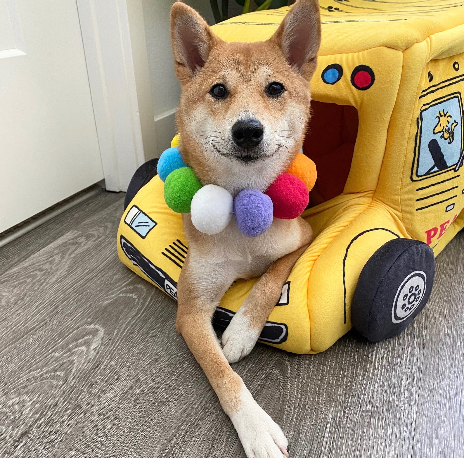Dog Collar Dog Necklace Fluffy Ball Dog Collar Custom Dog Etsy