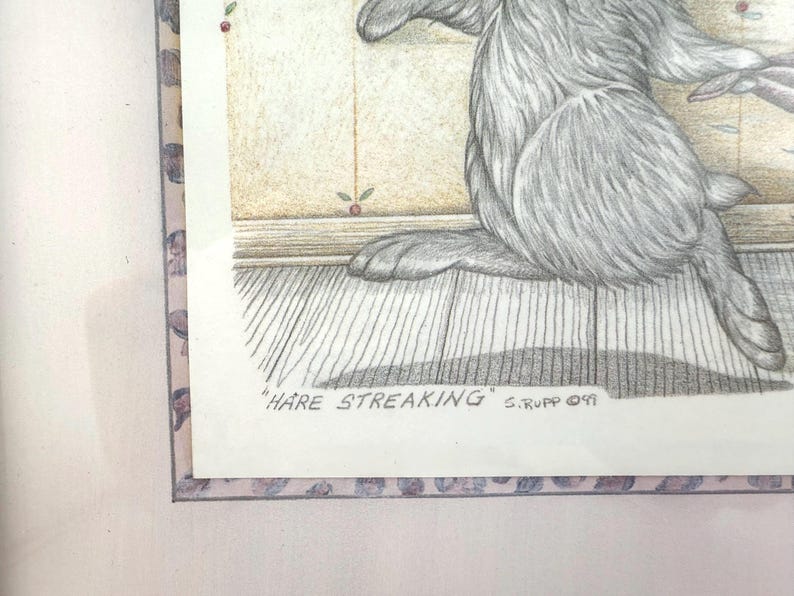 Sue Rupp “hare Streaking” Framed Print - Etsy