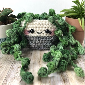 String of Pearls Succulent in Gray Pot / Crochet Cactus / Crochet succulent / Anigurumi Cactus /  Cactus Center Piece