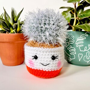 Old Lady Cactus in an Orange Pot / Crochet Cactus / Crochet Plant / Anigurumi Cactus /  Cactus Center Piece /