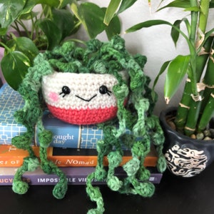 String of Pearls Succulent in a Coral Pot / Crochet Cactus / Crochet succulent / Anigurumi Cactus /  Cactus Center Piece