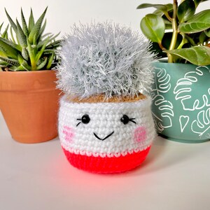 Crochet Old Lady Cactus in Hot Pink Pot / Crochet Cactus Plant / Crochet Succulent / Cactus Decor / Office Decor /