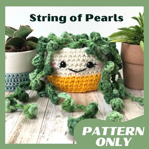 String of Pearls Plant Amigurumi Crochet Pattern - DIY Cute House Plant Gift - Downloadable PDF Instructions Plant- Crochet Plant