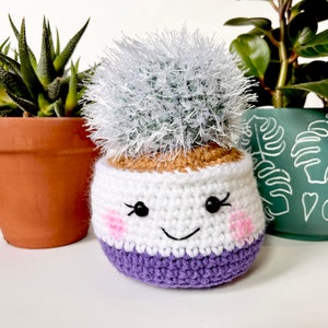 Old Lady in Purple Pot / Crochet Cactus / Crochet succulent / Anigurumi Cactus /  Cactus Center Piece