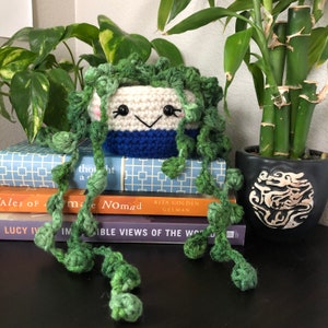 String of Pearls Succulent in a Blue Pot / Crochet Cactus / Crochet succulent / Anigurumi Cactus /  Cactus Center Piece