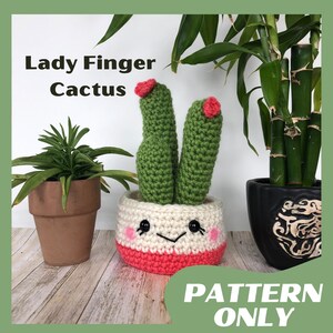 Crochet Plant, Lady Finger Amigurumi Crochet Pattern - DIY Cute House Plant Gift - Downloadable PDF Instructions Plant- Crochet Plant