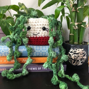 String of Pearls Succulent in Red Pot / Crochet Cactus / Crochet succulent / Anigurumi Cactus /  Cactus Center Piece