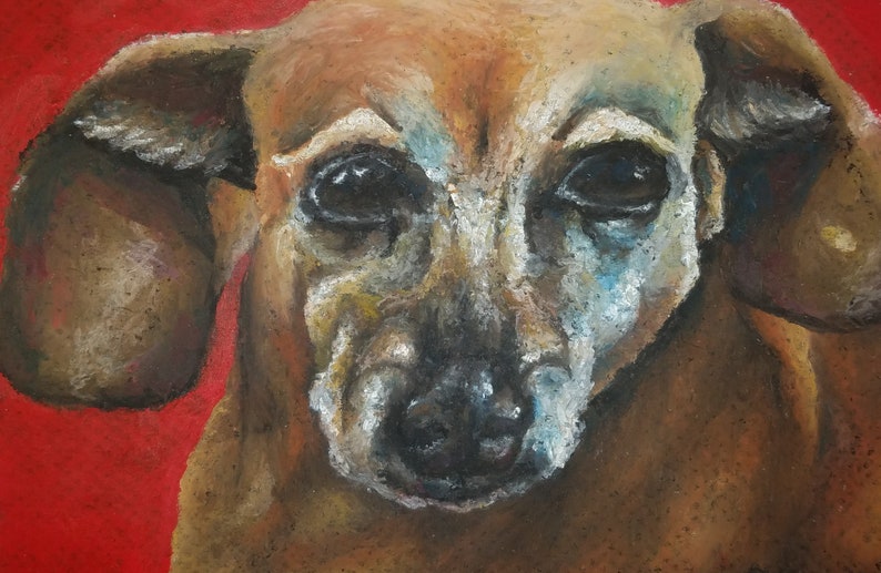 CUSTOM artwork of animals