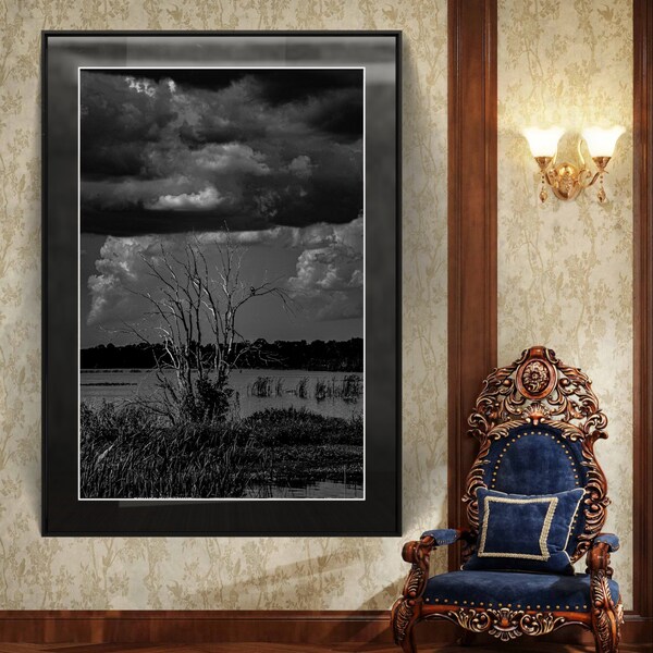 Limited Edition - Solitude in Storm: Lake Apopka, Winter Garden, FL - Artistic Aluminum Print