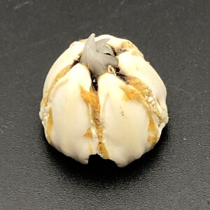 May include: A white and brown sea urchin shell with a small, white, spiky, sea creature inside.