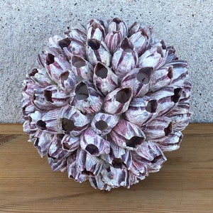Può includere: Un gruppo di conchiglie viola e bianche disposte a forma di sfera. Le conchiglie sono lisce e hanno una texture naturale e organica.