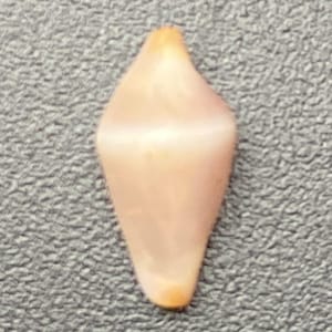 Puede incluir: Una gema en forma de lágrima, de color rosa claro, con una punta naranja. La gema es lisa y pulida, con un brillo sutil. El fondo es una superficie gris texturizada.