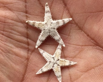 100 mini-zeesterren, lichtroze, 1 tot 2 cm groot, maritieme tafeldecoratie