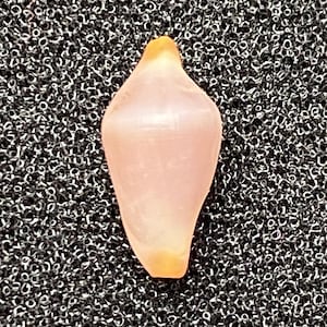 Puede incluir: Un objeto en forma de lágrima de color rosa claro, con una base redondeada y una punta de color amarillo-naranja. El objeto tiene un aspecto liso y translúcido y está sobre un fondo texturizado de color gris oscuro. La forma sugiere un elemento natural, posiblemente una semilla o una piedra pequeña.