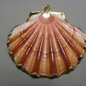 Peut inclure: Un grand pendentif en forme de coquille Saint-Jacques avec un bord plaqué or. La coquille est de couleur naturelle brun et blanc avec une finition brillante.