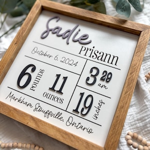 Signe personnalisé de statistiques de naissance de bébé