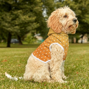Demon Dog Hoodie, Pet Hoodie, Dog Hoodie, Puppy Clothes, Dog Coat, Comfortable Hoodie, Pitbull Hoodie, Medium and Large Dog Clothes
