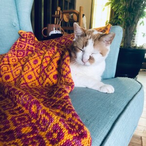 May include: A white and orange cat with closed eyes is napping on a light blue armchair. The cat is partially covered by a yellow and burgundy knitted blanket.