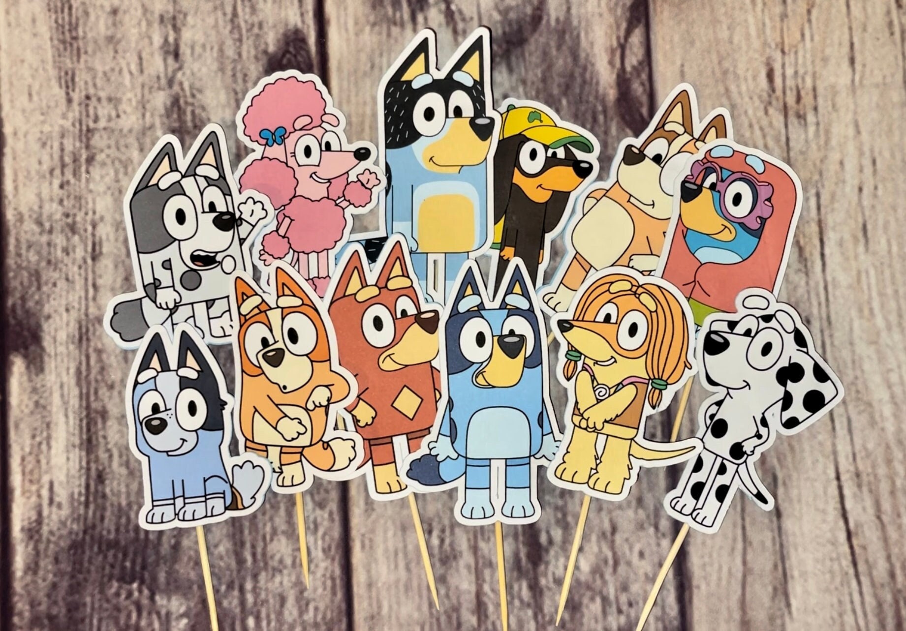 Custom Bluey Cupcake Toppers (15 pcs)
