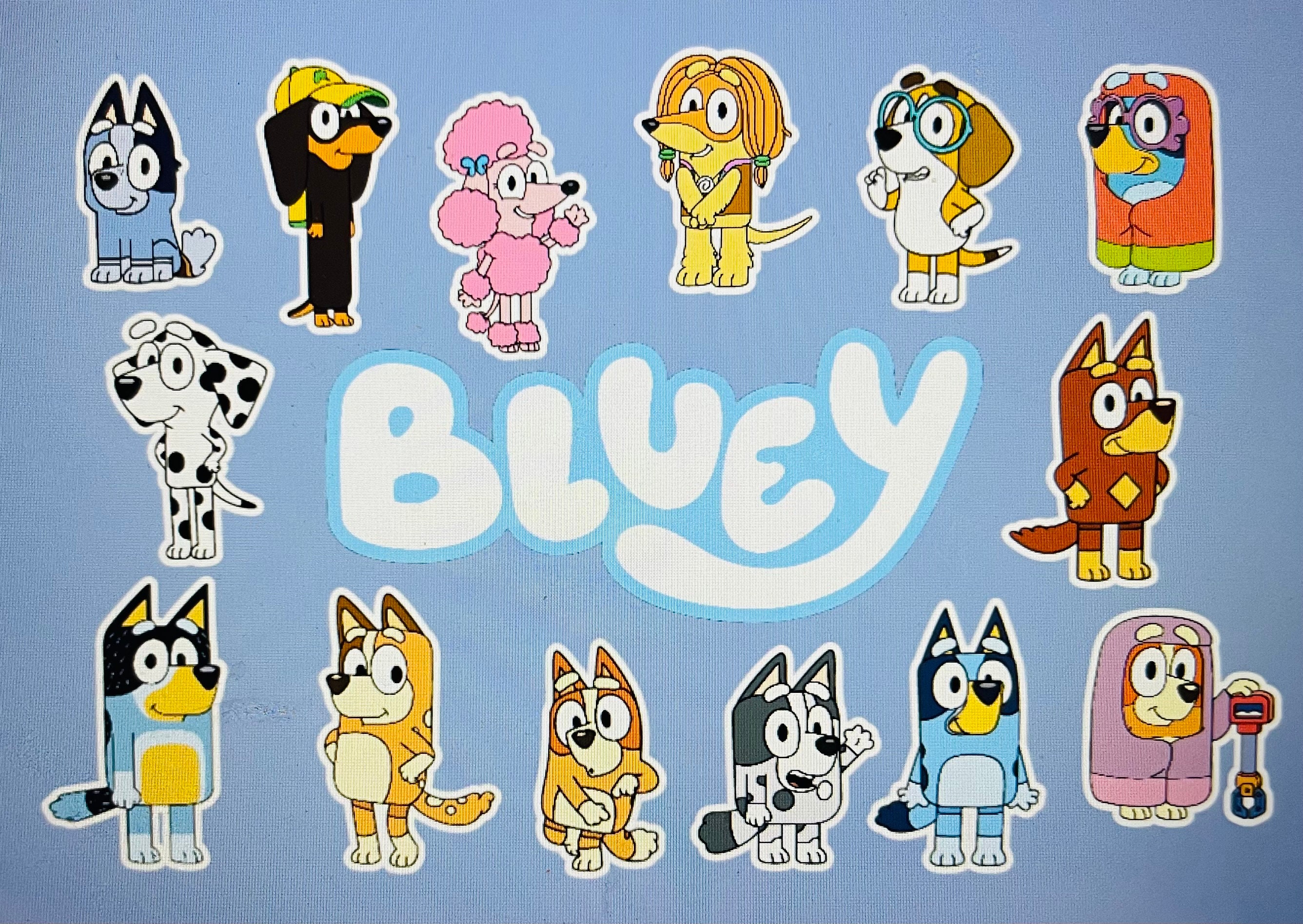 Custom Bluey Cupcake Toppers (15 pcs)