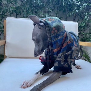 Palm Springs Hoodie Woven Short Sleeve Navajo Print Wool Iggy Luxury Loungewear