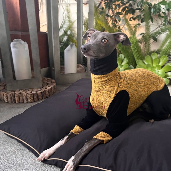 Two Tone Mustard Black Jumpsuit with Cozy Turtleneck Collar for Italian Greyhound "Wearing Pants" effect