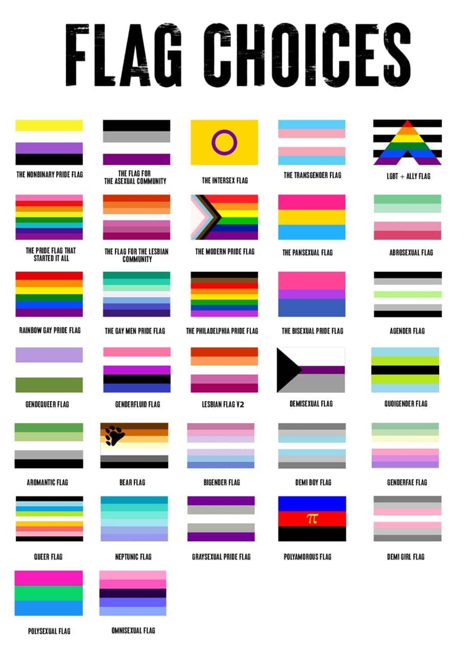 the new gay pride flag is retarded