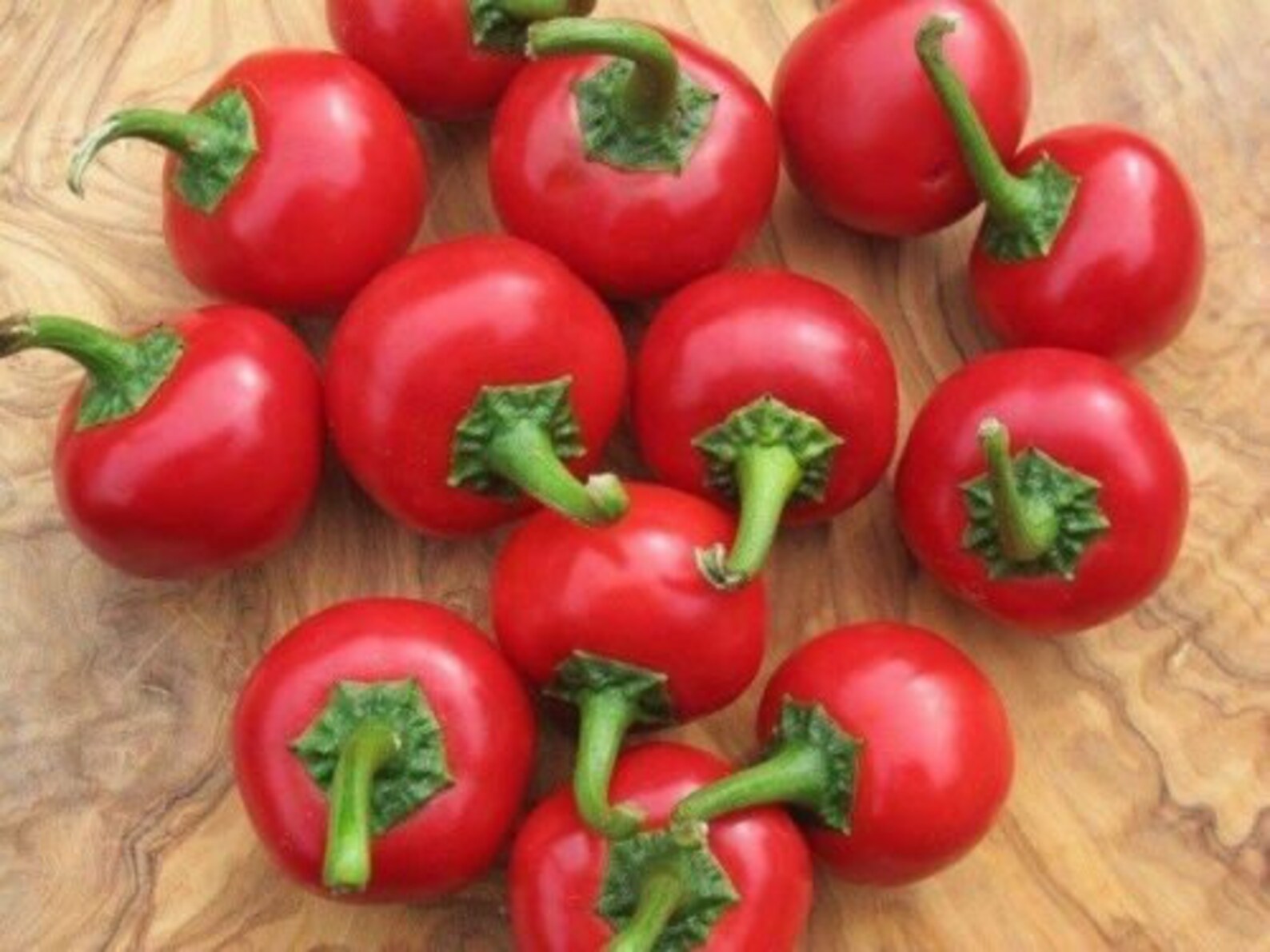 Cherry Bomb Cherry Cherry 30 Seeds Pepper Seed Very Spicy Etsy