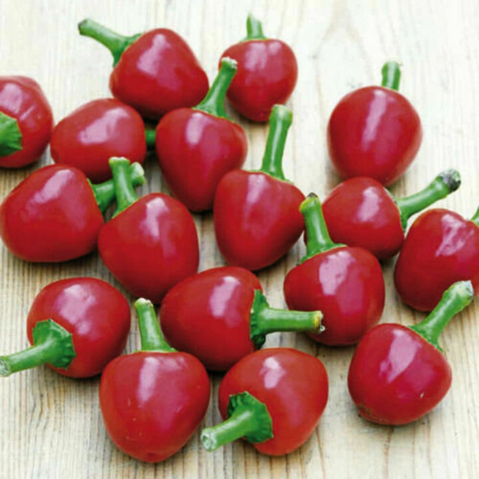 Cherry Bomb Cherry Cherry 30 Seeds Pepper Seed Very Spicy Etsy