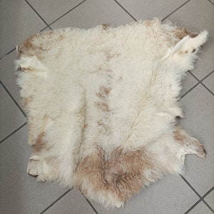 Real Sheep fur skin, ecru and cinnampn colour soft fur for floor rug.